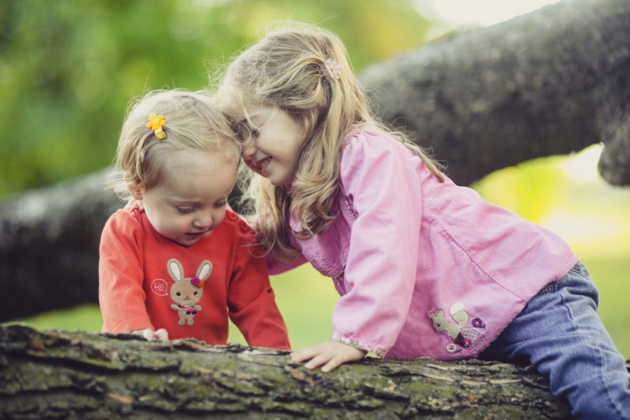 Two Children play on a tree